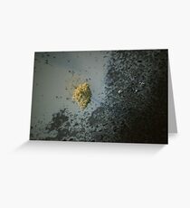 wetland Greeting Card