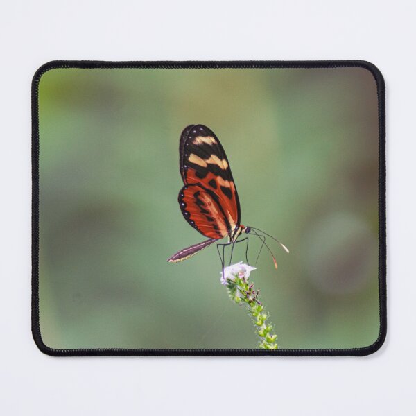 Item preview, the butterfly on a flower designed and sold by ricobarinas.