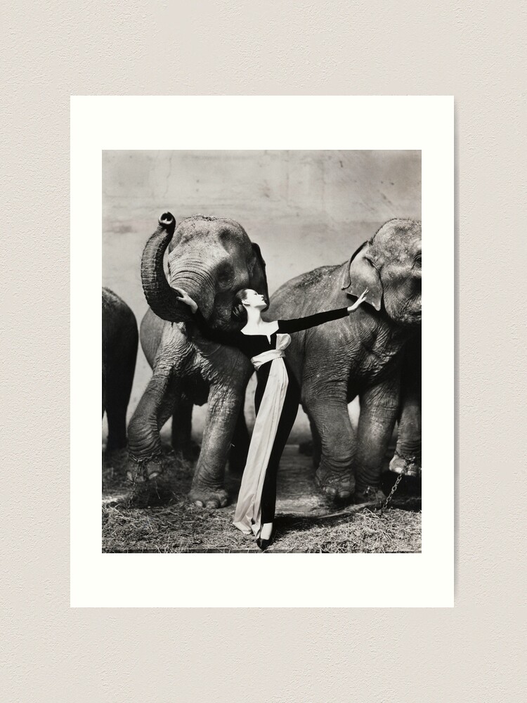 Dovima With Elephants（リチャード アベドン）アートポスター farp,x_large,wall_texture,