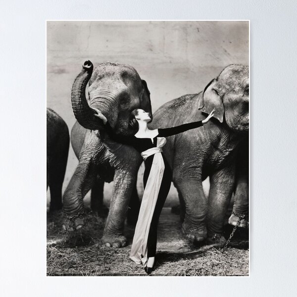 Item preview, Dovima with elephants, 1955 - RICHARD AVEDON - Fashion Photography designed and sold by HoneymoonHotel.