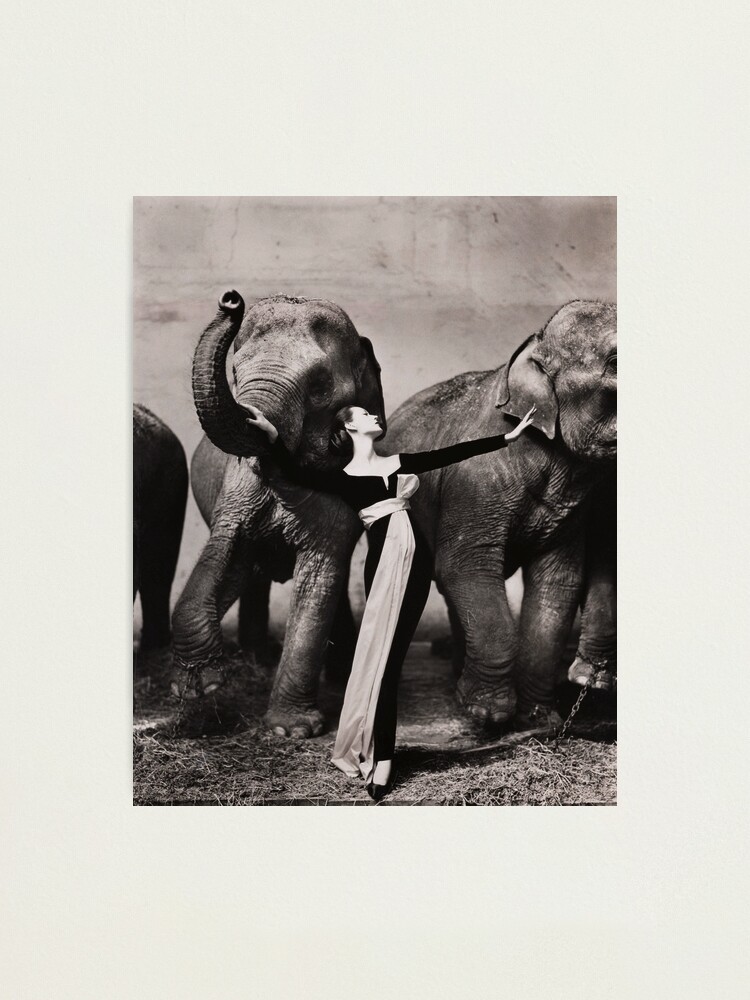 Dovima With Elephants（リチャード アベドン）アートポスター Dovima with elephants, 1955 Rare Poster by Richard Avedon