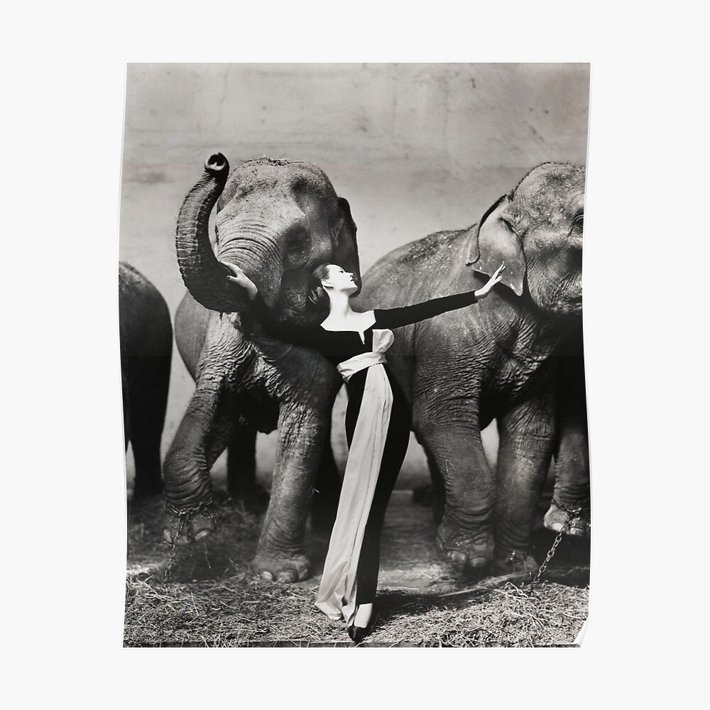 Dovima with elephants, 1955 - RICHARD AVEDON - Fashion Photography