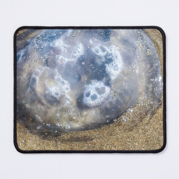 Item preview, close-up of a jellyfish on sand designed and sold by Francespoppy.