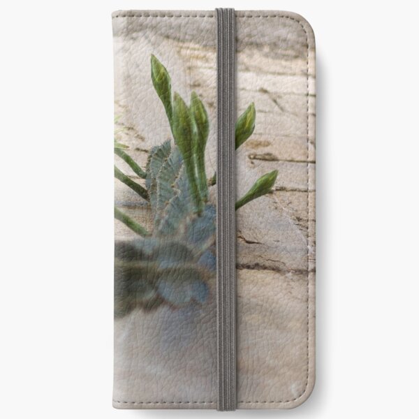 Princess of the Night - Blooming against Urban Wall iPhone Wallet