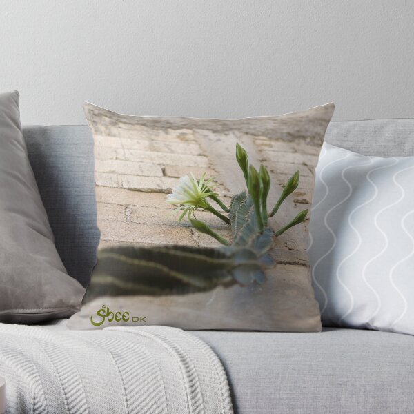 Princess of the Night - Blooming against Urban Wall Throw Pillow