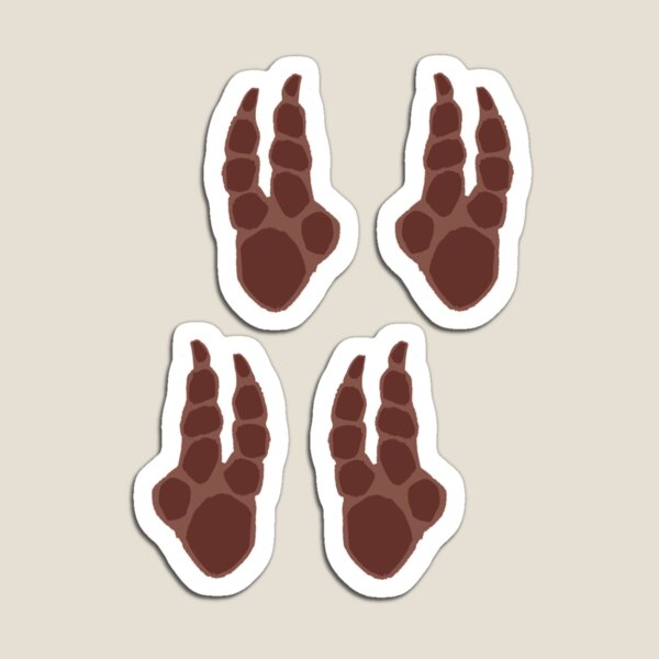 Dromie Tracks Magnet