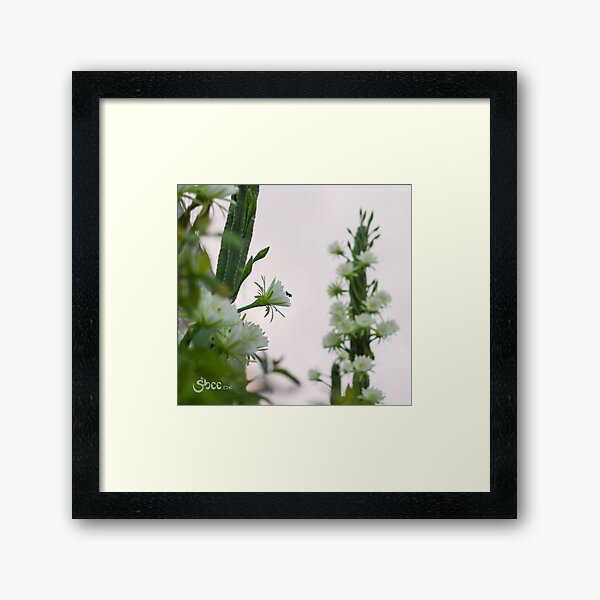 Princess of the Night - Abundance with Bees Framed Art Print