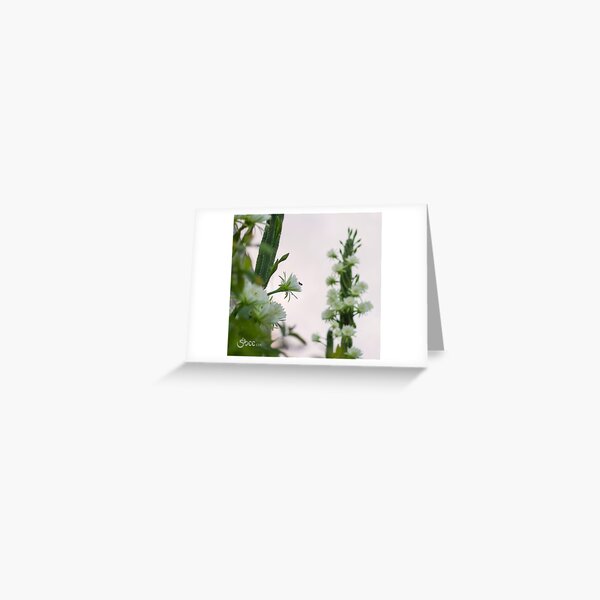 Princess of the Night - Abundance with Bees Greeting Card