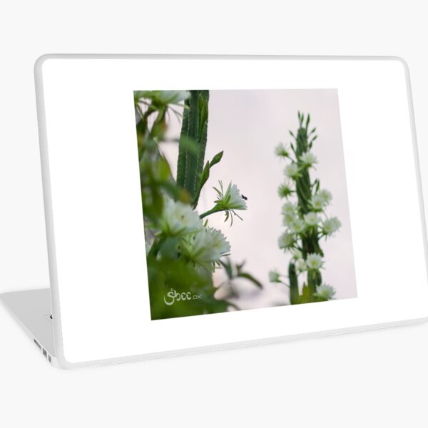 Princess of the Night - Abundance with Bees Laptop Skin