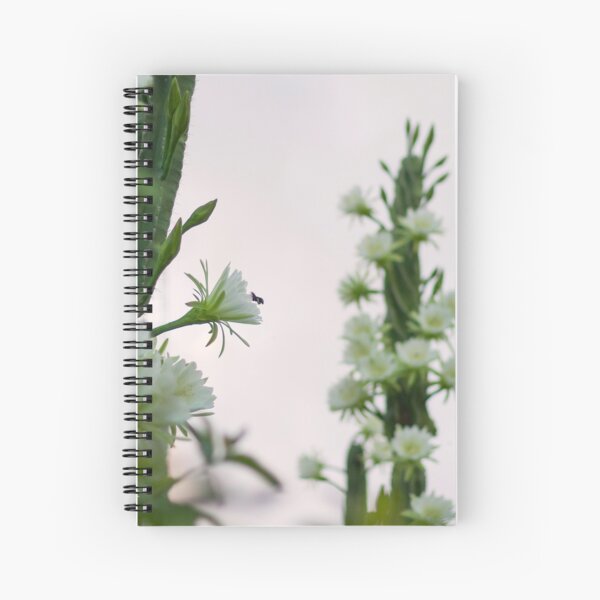 Princess of the Night - Abundance with Bees Spiral Notebook