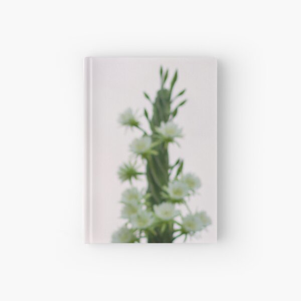 Princess of the Night - Abundance with Bees Hardcover Journal