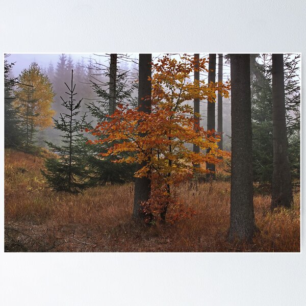 Item preview, morning mist designed and sold by dagmar luhring.