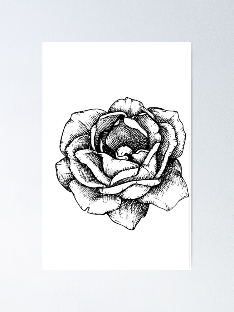 cute little vector flower with out and sketch. 6308530 Vector Art at  Vecteezy