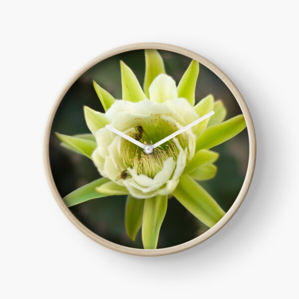 Princess of the Night - Bloom with Playful Bees Clock