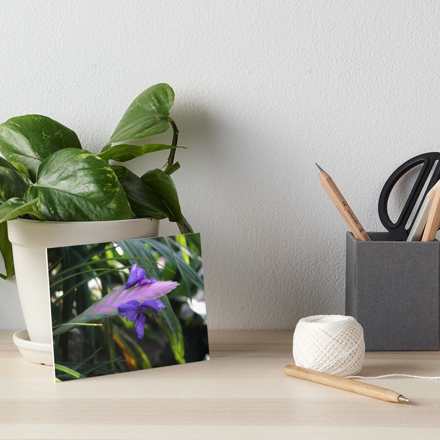 Item preview, Art Board Print designed and sold by mackography.