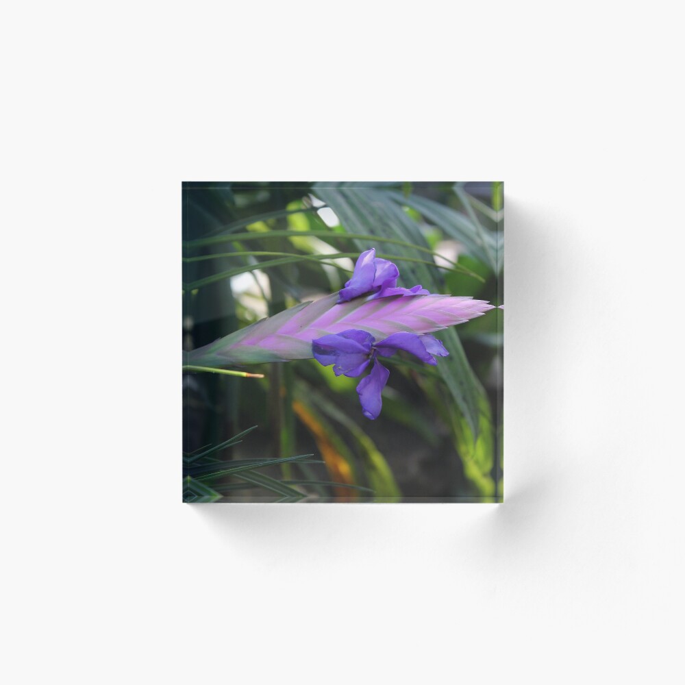 Item preview, Acrylic Block designed and sold by mackography.