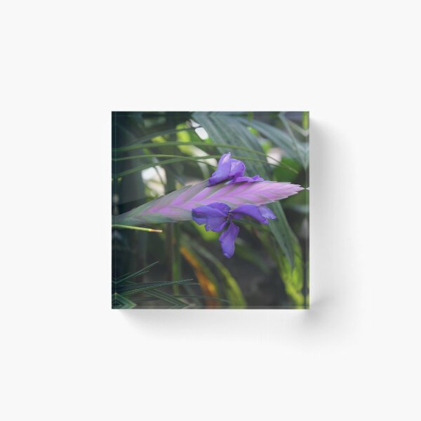 Item preview, Untitled designed and sold by mackography.
