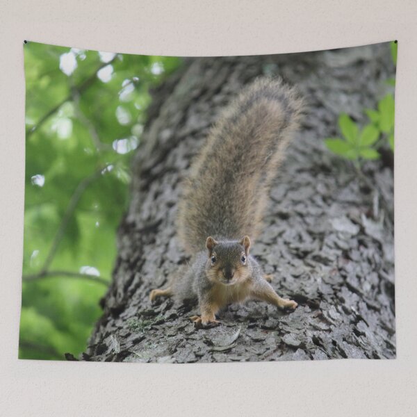 Item preview, Angry Fox Squirrel    |    Nature designed and sold by RedHandedOD.