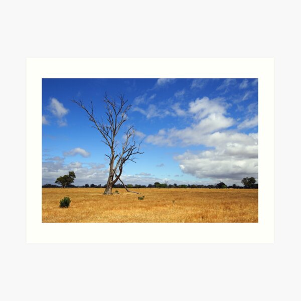 Benalla Art Print