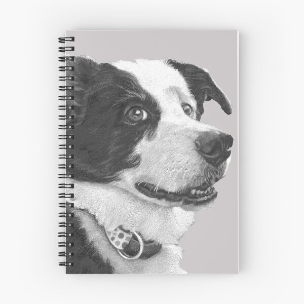 Aperçu de l'œuvre Border Collie Love ~ Visage créée et vendue par Jane Oriel.