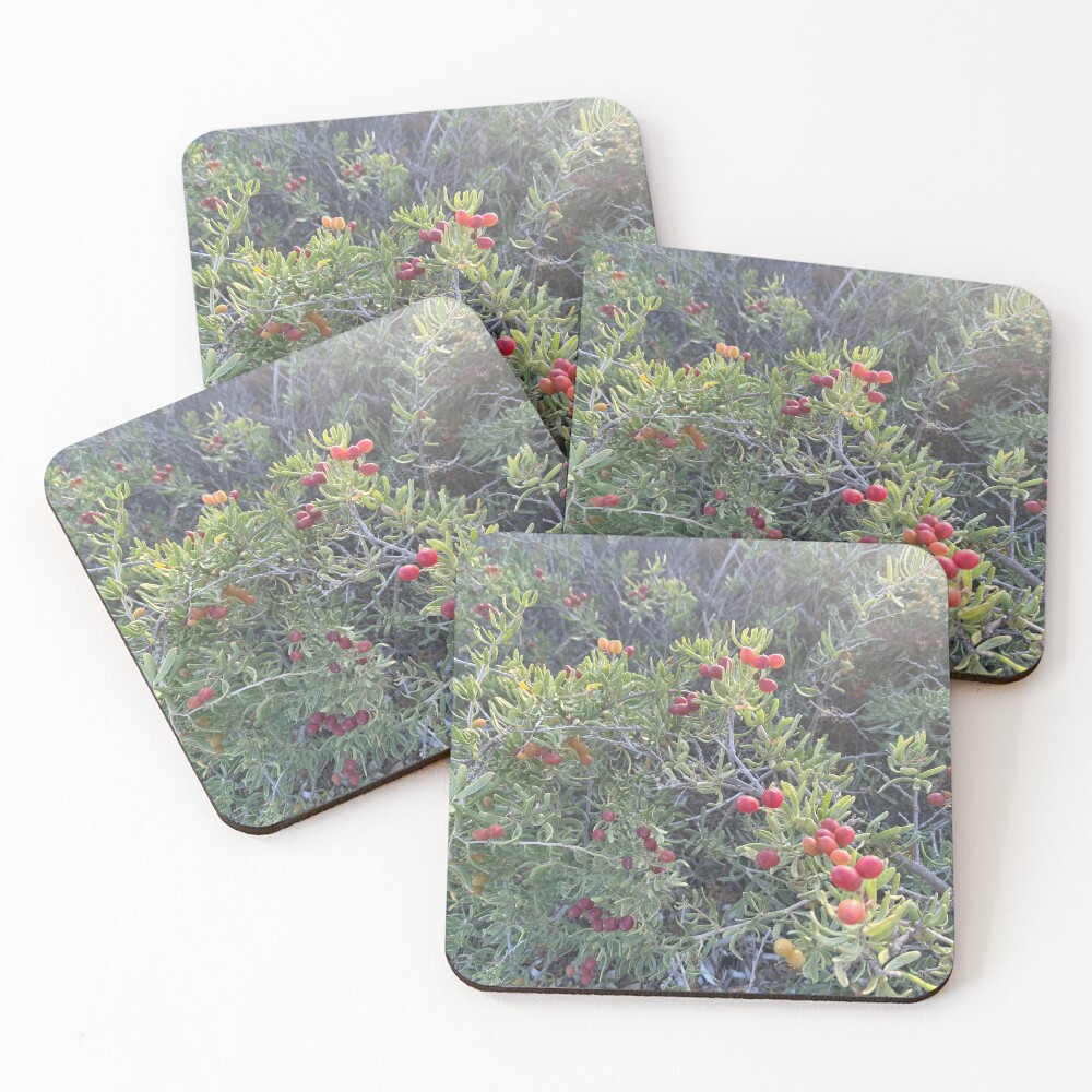 Aperçu de l'œuvre Dessous de verre (lot de 4) créée et vendue par SpaceRiver.