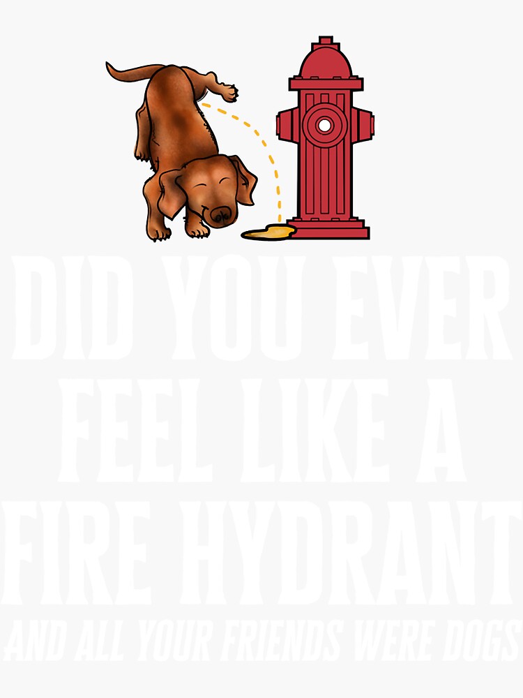 "Fire hydrant dog, did you ever feel like a fire hydrant meme, fire