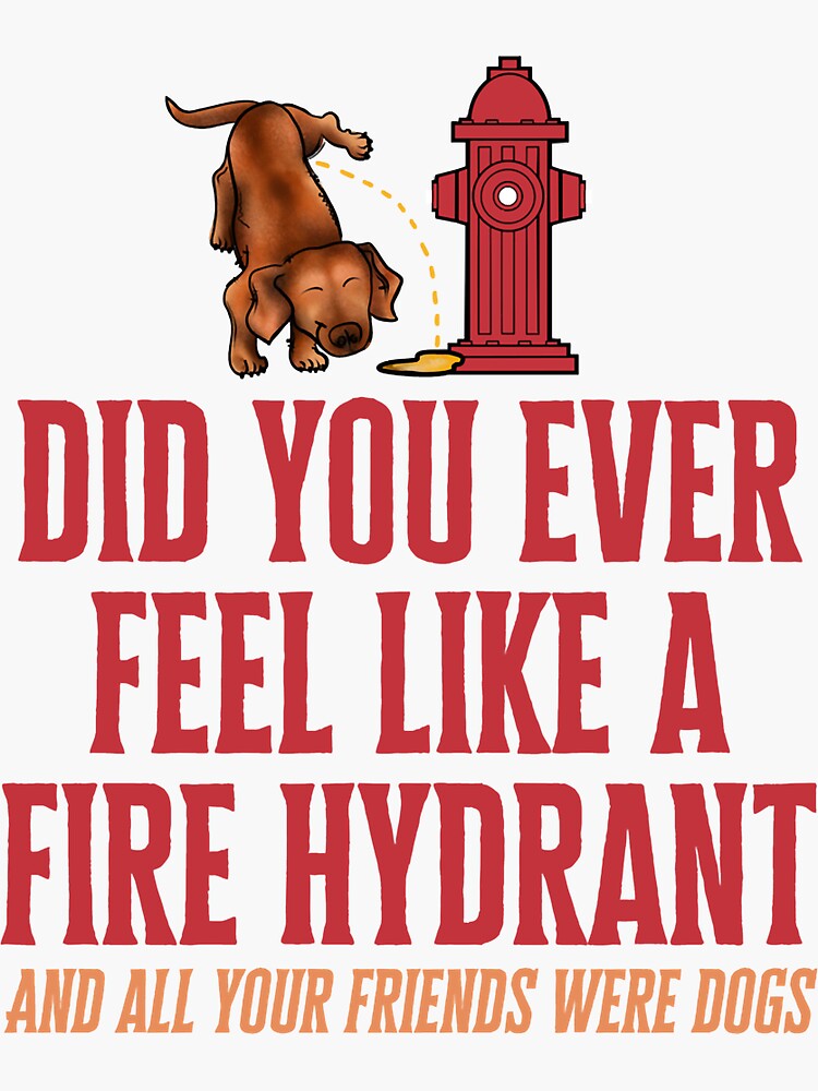 "Fire hydrant dog, did you ever feel like a fire hydrant meme, fire