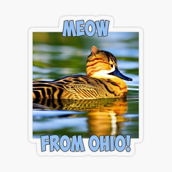 MEOW from Ohio!