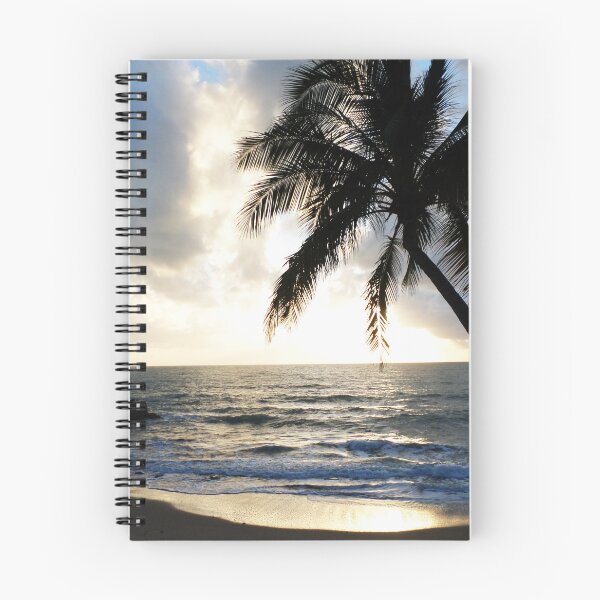Item preview, Palm And Sunlight II designed and sold by Walljar.