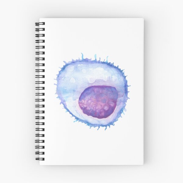 Item preview, B cell WBC white blood cell designed and sold by labstud.