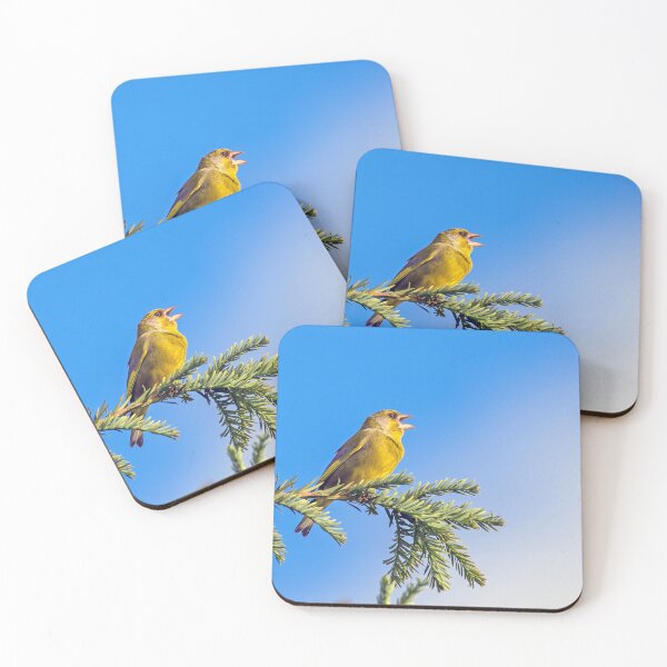 Item preview, Greenfinch welcomes the day designed and sold by George Kelsey.