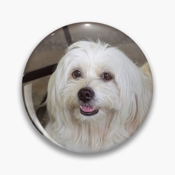 Item preview, sophie the cute pet dog designed and sold by likbatonboot.
