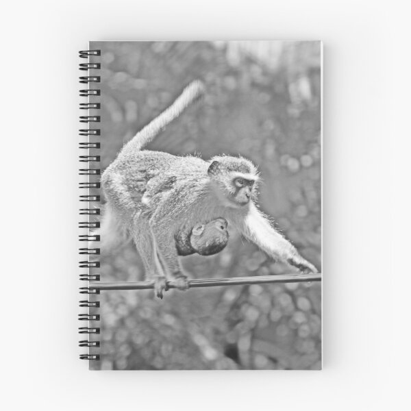 Item preview, Vervet monkey and her baby designed and sold by Jean-Marie Heyman.