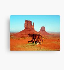 Horse Mittens Canvas Print