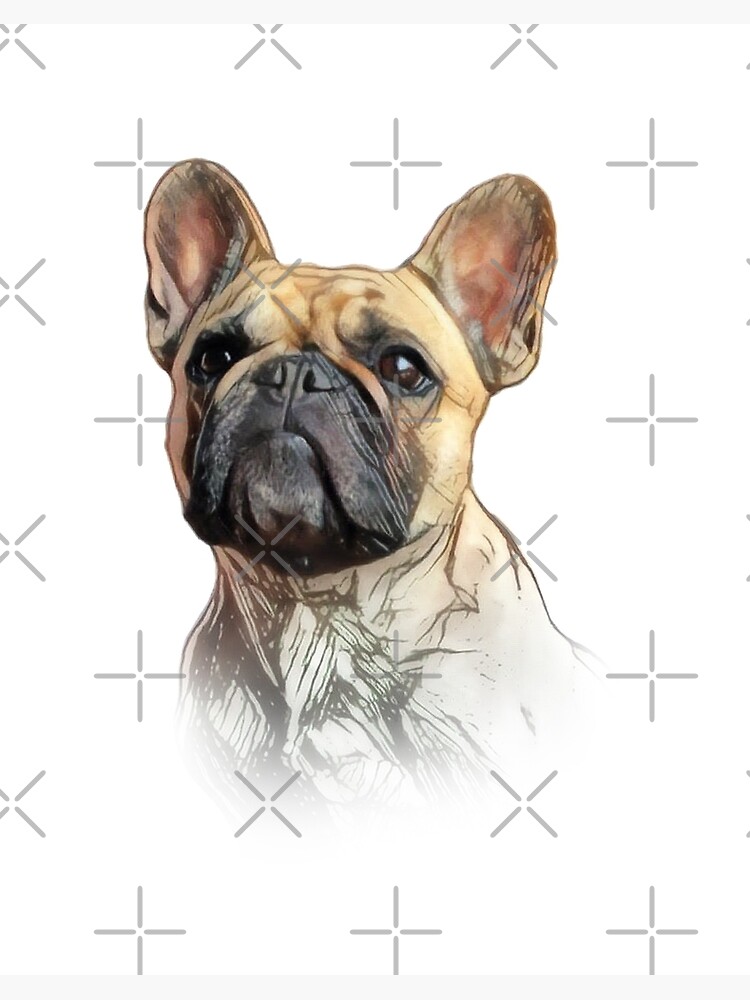 jug x french bulldog