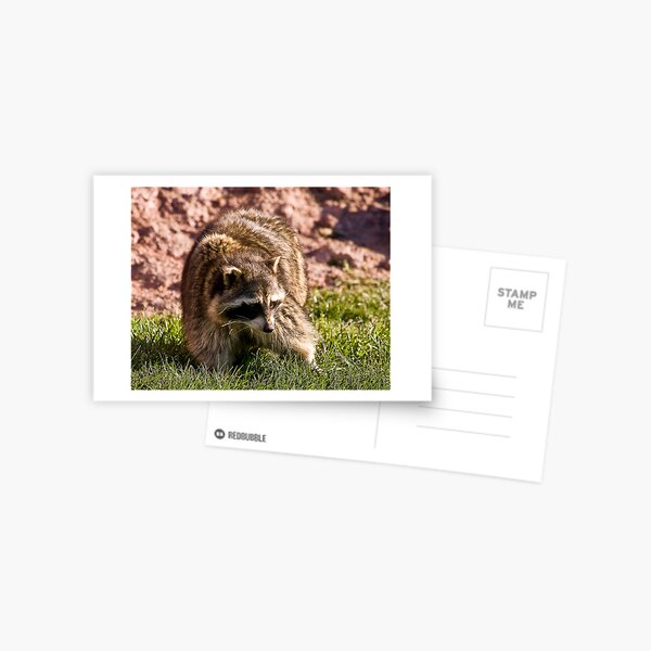 Rac4 Postcard
