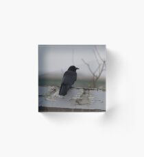 Raven on a Fence Acrylic Block