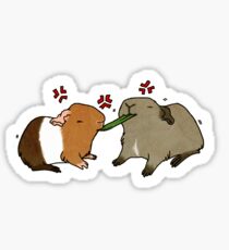 Guinea Pigs Fighting Over Grass Sticker
