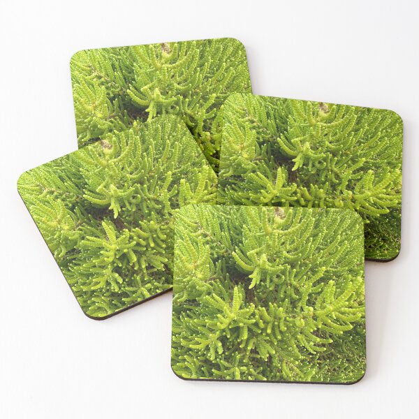 Item preview, Greenish designed and sold by SpaceRiver.