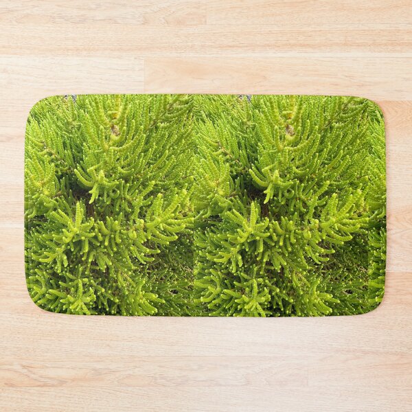 Item preview, Greenish designed and sold by SpaceRiver.