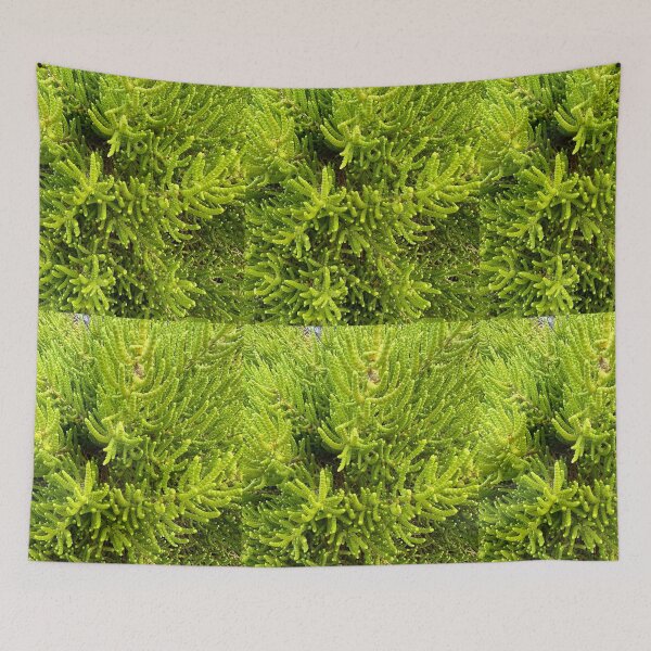 Item preview, Greenish designed and sold by SpaceRiver.