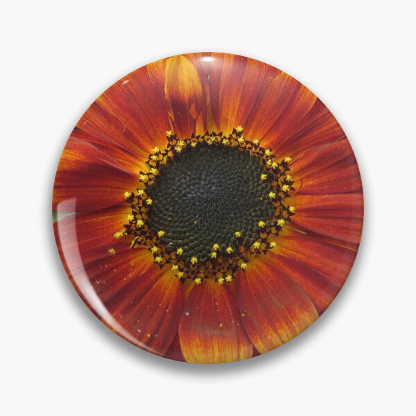 Artikelvorschau, Schöne rote hochrote und goldene Sonnenblume entworfen und verkauft von Digitalcrone.