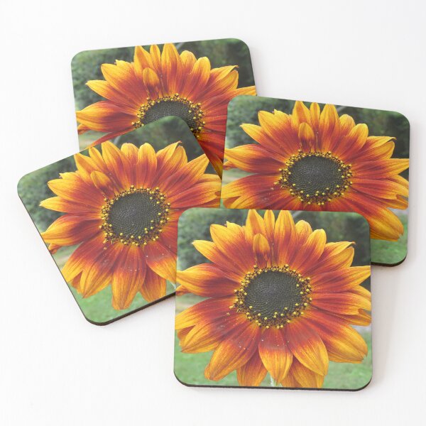 Item preview, Beautiful red crimson and gold sunflower designed and sold by Digitalcrone.