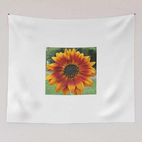 Item preview, Beautiful red crimson and gold sunflower designed and sold by Digitalcrone.