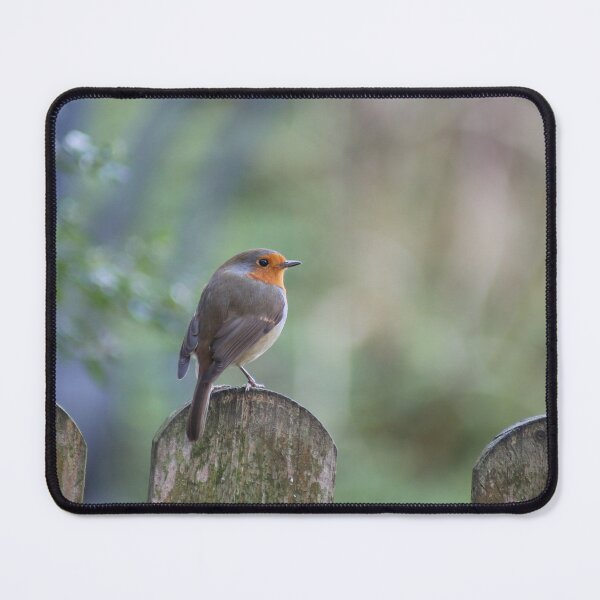 Item preview, Robin at rest designed and sold by MarkRame.