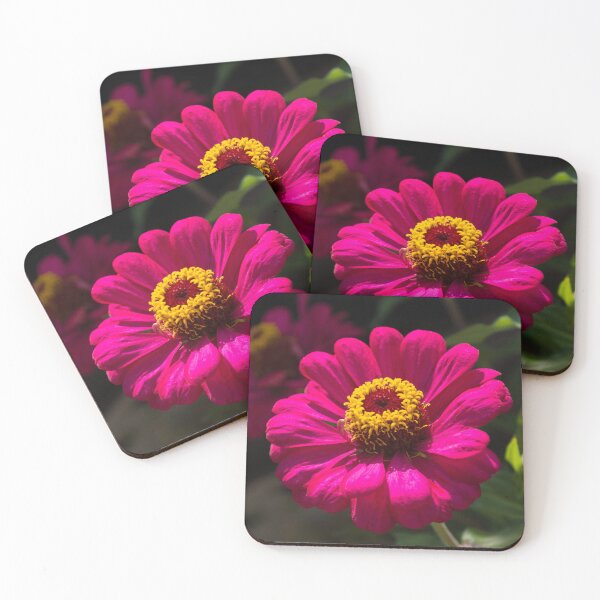 Item preview, Viva Magenta - Two Exuberant Double Flowered Zinnias designed and sold by Georgia Mizuleva.