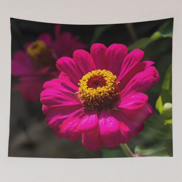 Item preview, Viva Magenta - Two Exuberant Double Flowered Zinnias designed and sold by Georgia Mizuleva.