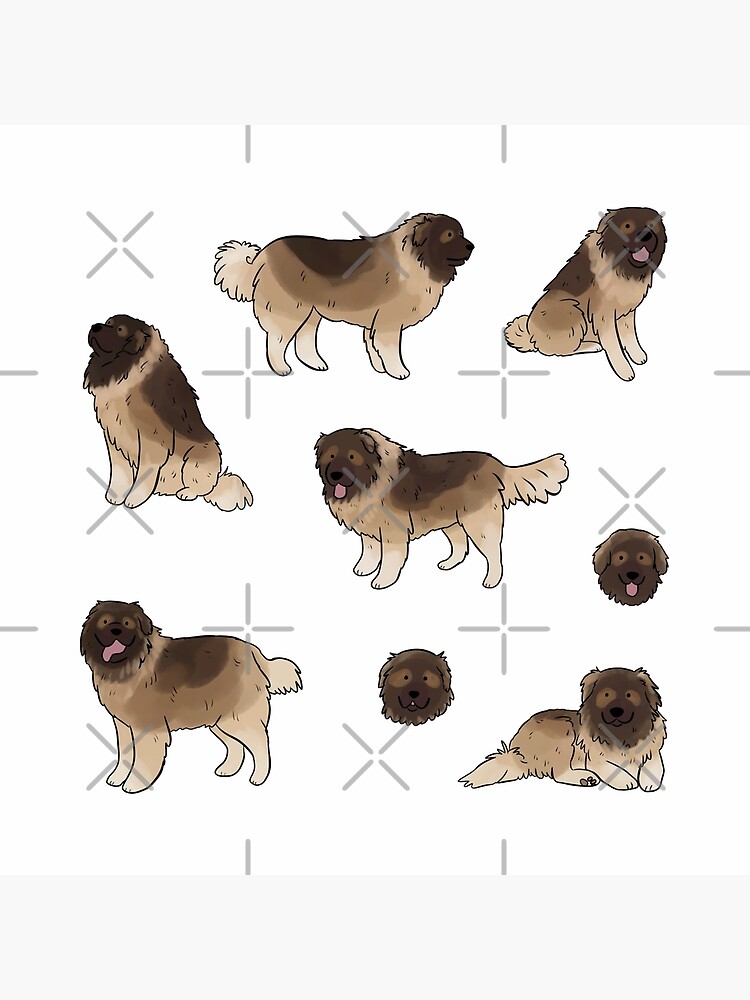 Russian Caucasian Shepherd Giant Bear Dogs Russian Dog