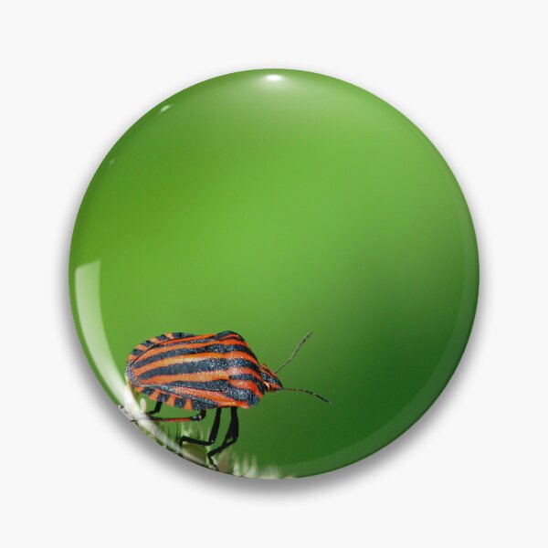 Item preview, Graphosoma lineatum designed and sold by iago rodriguez dopico.