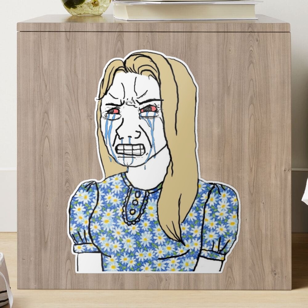 Crying Girl Meme Poster